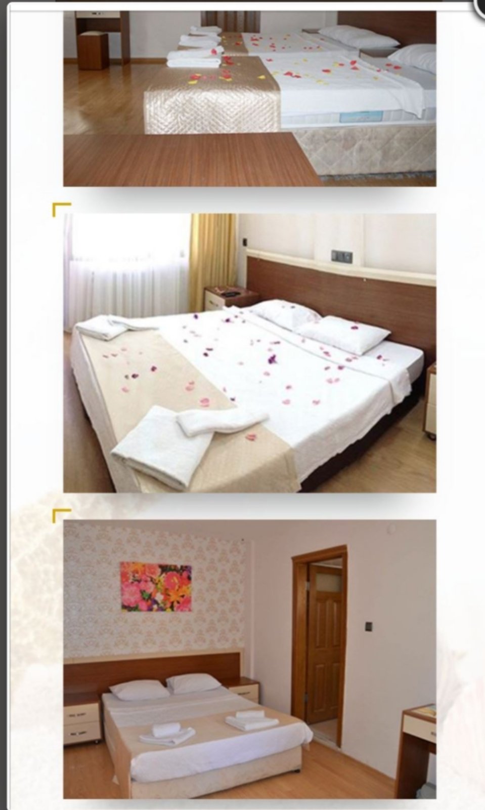 IMG-37a946d82fe59459a077c3274f864291-V